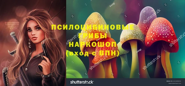 первитин Алексин